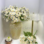 بوته گل بابونه