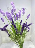بوته گل لوندر کد۵۷۰۸ - Image 3